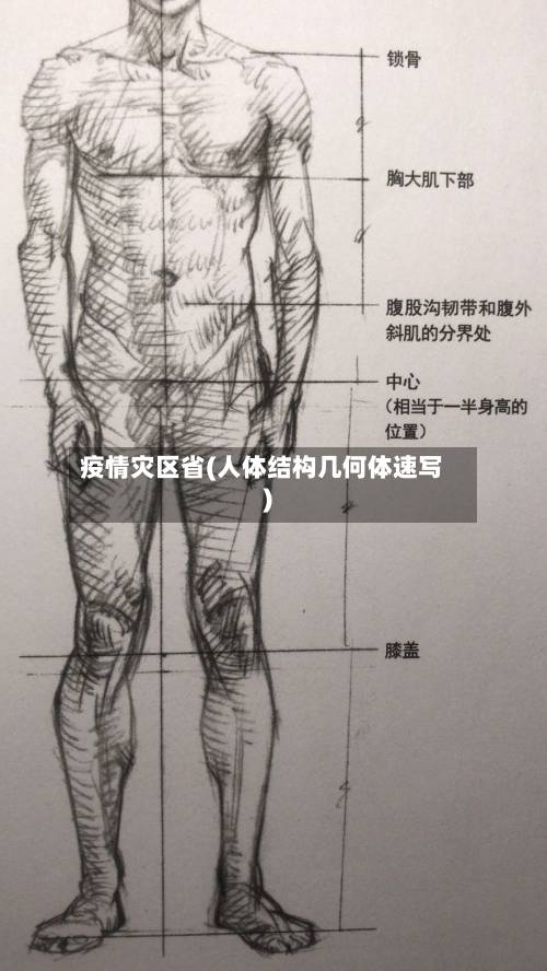 疫情灾区省(人体结构几何体速写)-第2张图片
