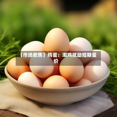 【市场聚焦】鸡蛋：淘鸡扰动短期蛋价-第1张图片