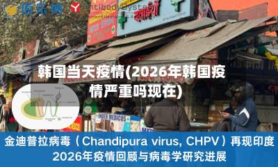 韩国当天疫情(2026年韩国疫情严重吗现在)