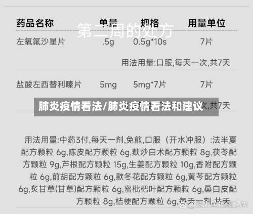 肺炎疫情看法/肺炎疫情看法和建议