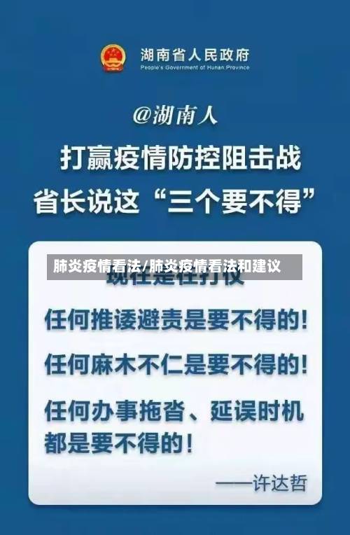 肺炎疫情看法/肺炎疫情看法和建议-第2张图片