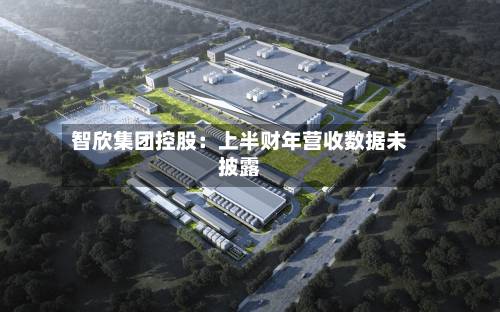智欣集团控股：上半财年营收数据未披露-第3张图片