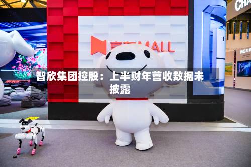 智欣集团控股：上半财年营收数据未披露