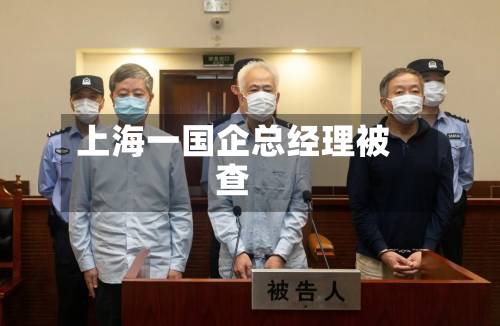 上海一国企总经理被查