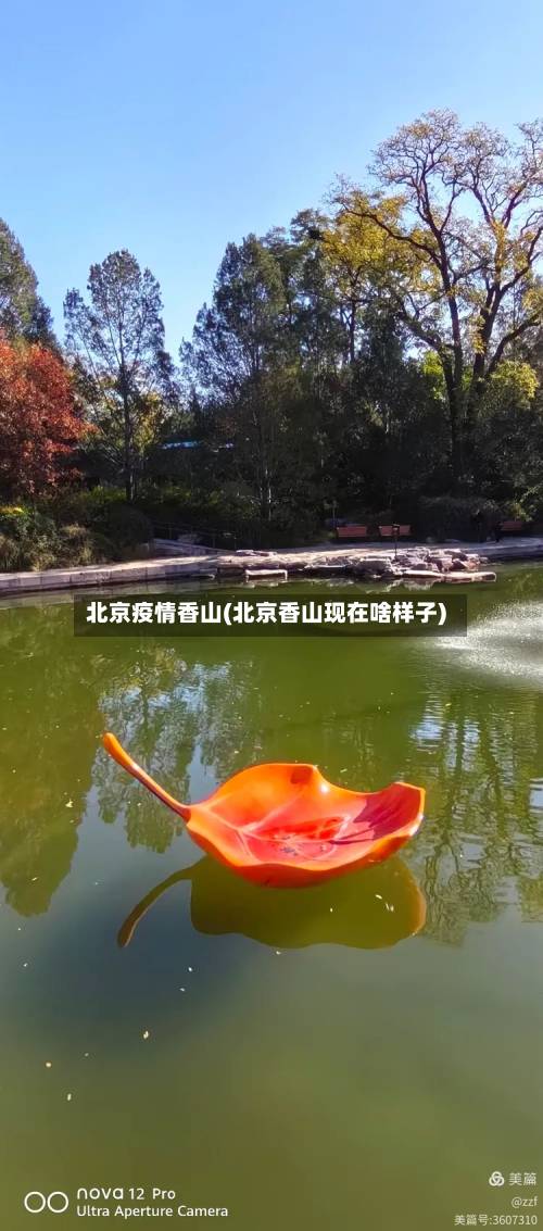 北京疫情香山(北京香山现在啥样子)