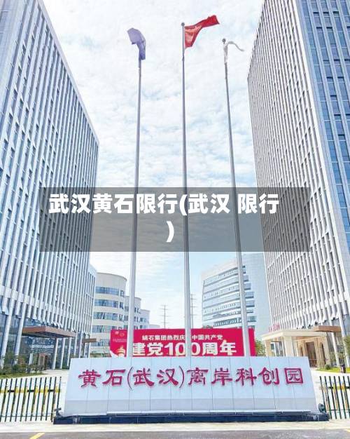 武汉黄石限行(武汉 限行)