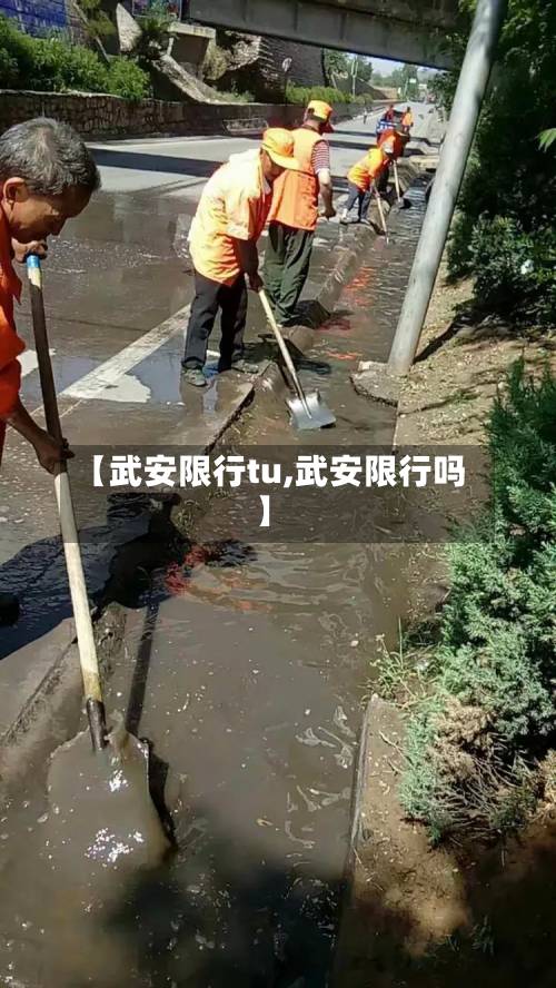 【武安限行tu,武安限行吗】