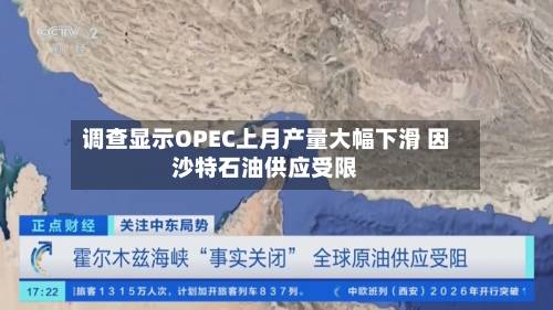 调查显示OPEC上月产量大幅下滑 因沙特石油供应受限-第2张图片