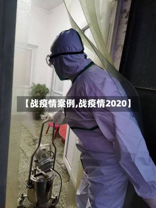 【战疫情案例,战疫情2020】-第3张图片
