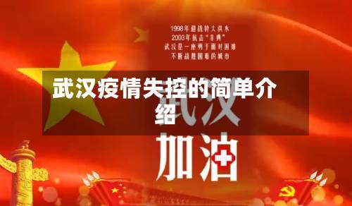 武汉疫情失控的简单介绍