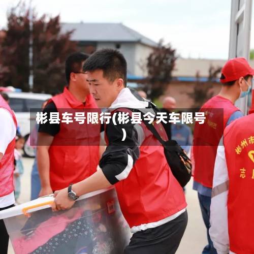 彬县车号限行(彬县今天车限号)-第1张图片