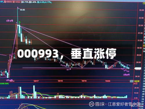 000993，垂直涨停