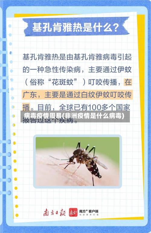 病毒疫情周易(非洲疫情是什么病毒)