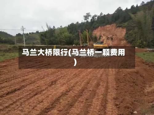 马兰大桥限行(马兰桥一颗费用)