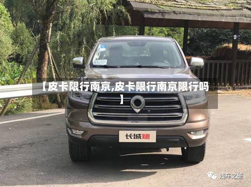【皮卡限行南京,皮卡限行南京限行吗】-第1张图片