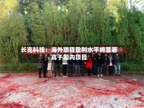 长亮科技：海外项目盈利水平将显著高于国内项目-第3张图片