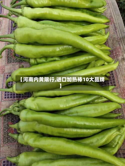 【河南内黄限行,进口加热棒10大品牌】