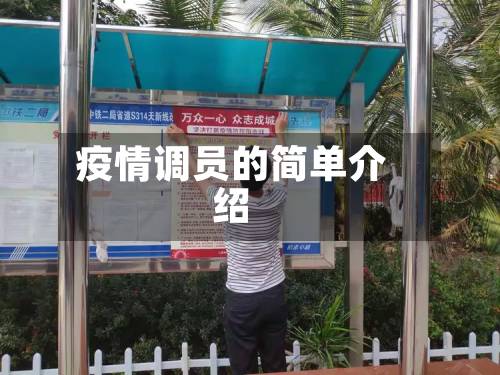 疫情调员的简单介绍-第2张图片