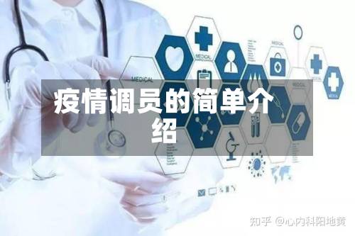 疫情调员的简单介绍-第3张图片
