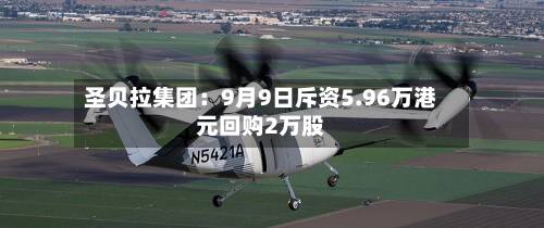 圣贝拉集团：9月9日斥资5.96万港元回购2万股-第3张图片