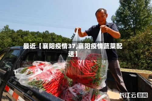 最近【襄阳疫情37,襄阳疫情蔬菜配送】