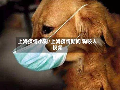 上海疫情小狗/上海疫情期间 狗咬人视频