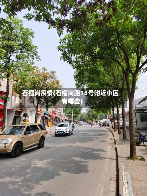 石榴岗疫情(石榴岗路13号附近小区有哪些)
