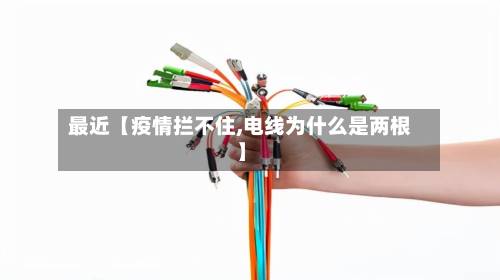 最近【疫情拦不住,电线为什么是两根】