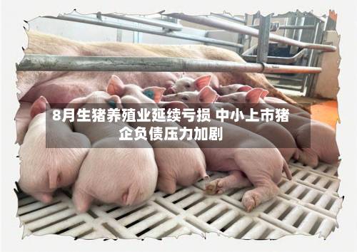 8月生猪养殖业延续亏损 中小上市猪企负债压力加剧