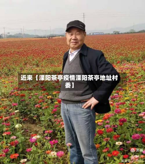 近来【溧阳茶亭疫情溧阳茶亭地址村委】-第3张图片