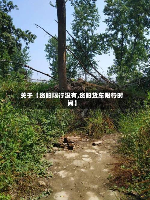关于【资阳限行没有,资阳货车限行时间】