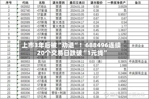 上市3年后被“劝退	”！688496连续20个交易日跌破“1元线”-第3张图片
