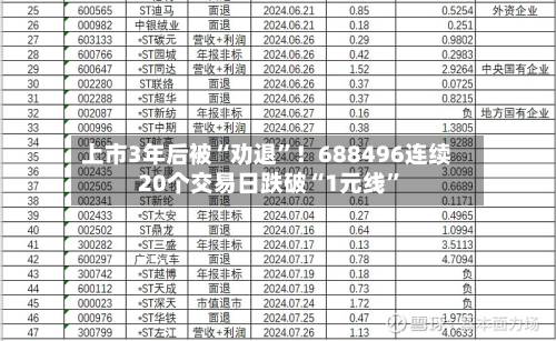 上市3年后被“劝退”！688496连续20个交易日跌破“1元线”-第2张图片