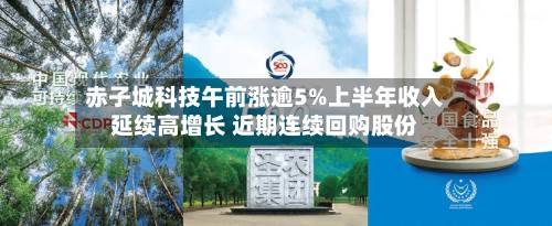 赤子城科技午前涨逾5%上半年收入延续高增长 近期连续回购股份-第2张图片