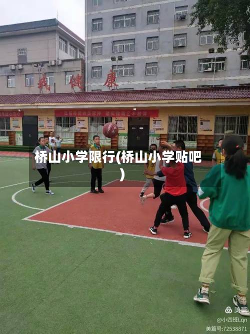 桥山小学限行(桥山小学贴吧)-第2张图片