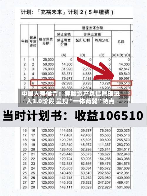 中国人寿侯晋：寿险资产负债管理进入3.0阶段 呈现“一体两翼”特点-第2张图片