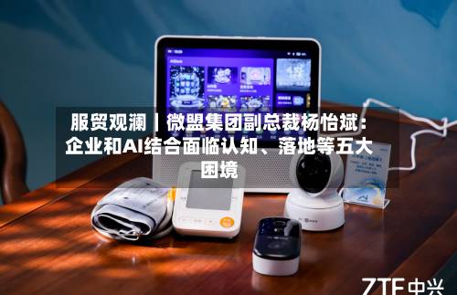 服贸观澜｜微盟集团副总裁杨怡斌：企业和AI结合面临认知、落地等五大困境