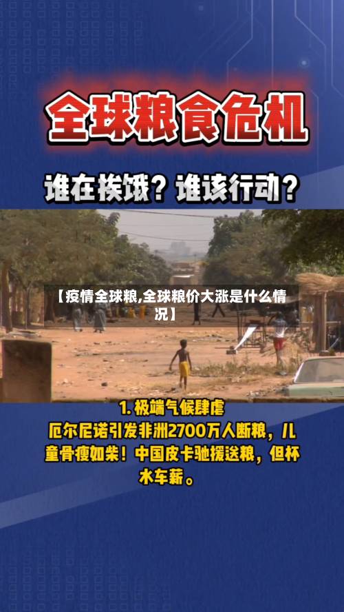 【疫情全球粮,全球粮价大涨是什么情况】