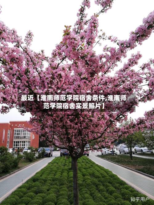 最近【淮南师范学院宿舍条件,淮南师范学院宿舍实景照片】