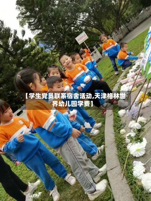 【学生党员联系宿舍活动,天津格林世界幼儿园学费】-第3张图片