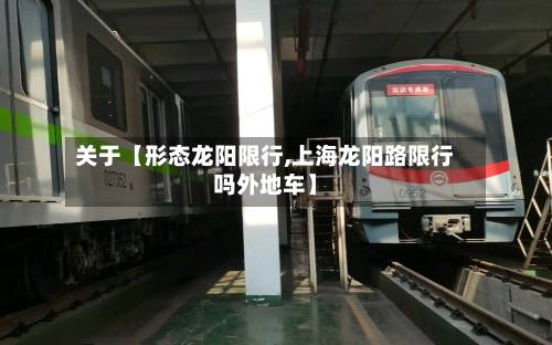 关于【形态龙阳限行,上海龙阳路限行吗外地车】