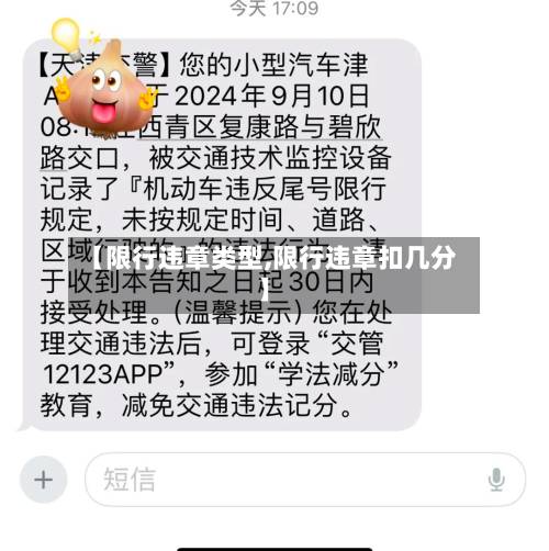 【限行违章类型,限行违章扣几分】-第2张图片