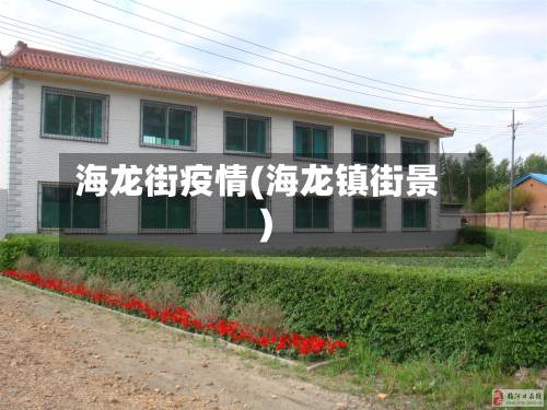 海龙街疫情(海龙镇街景)