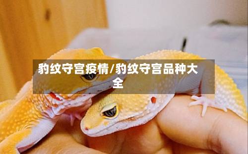 豹纹守宫疫情/豹纹守宫品种大全-第2张图片