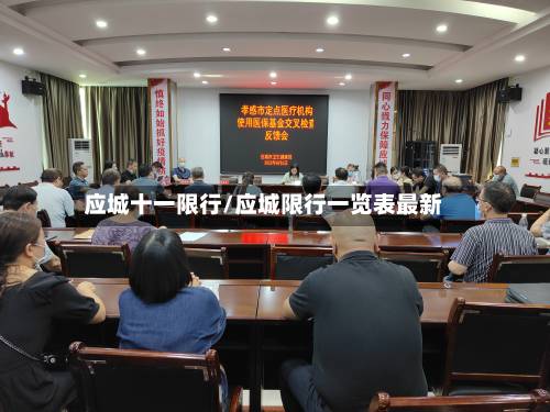 应城十一限行/应城限行一览表最新-第1张图片