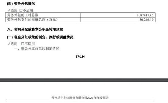 星宇股份再现重大财报差错，2.44万亿外包费用？